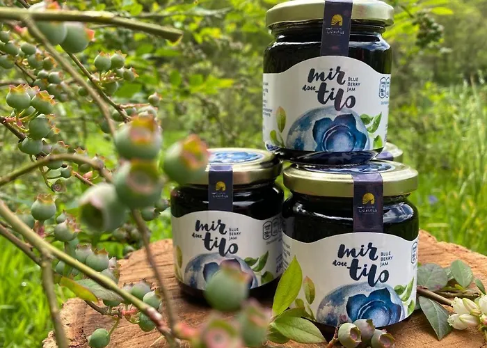 Encosta Dos Tuneis - Turismo E Lazer Sever do Vouga