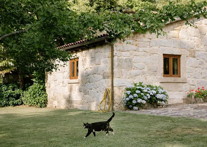 Encosta Dos Tuneis - Turismo E Lazer Pensionat Sever do Vouga