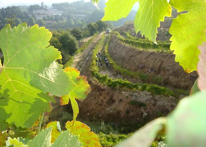 Encosta Dos Tuneis - Turismo E Lazer Sever do Vouga